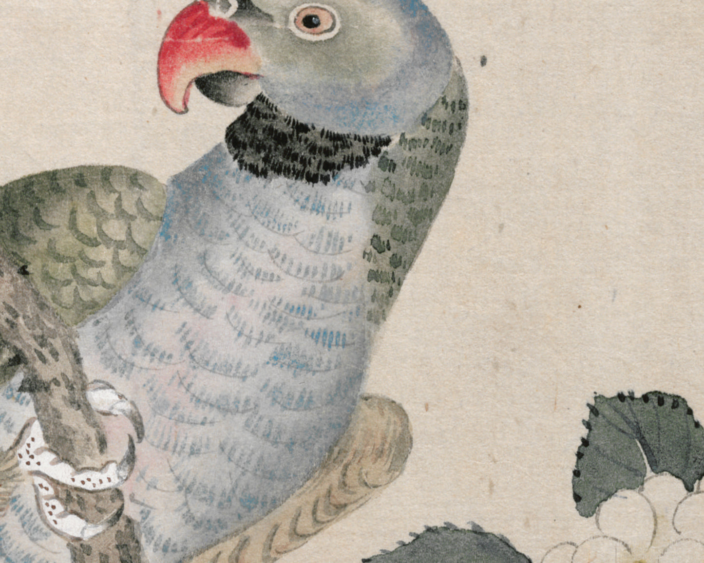 Japanese Parrot Chinoiserie Art Print #1