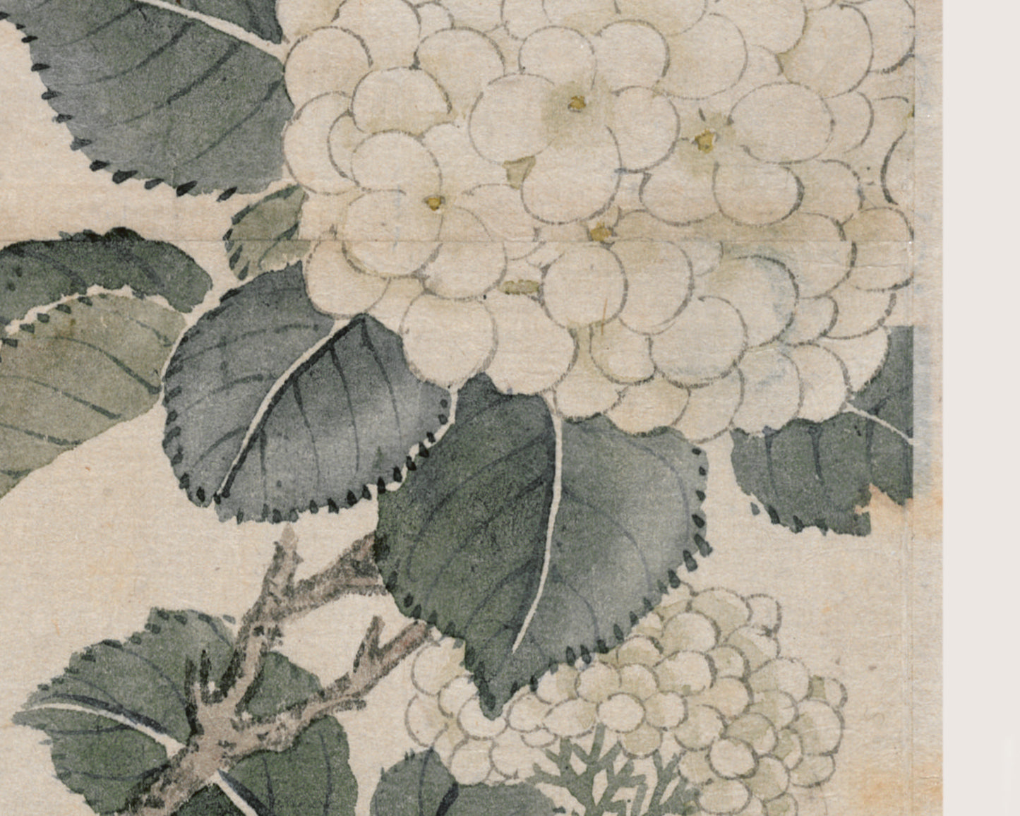 Japanese Parrot Chinoiserie Art Print #1