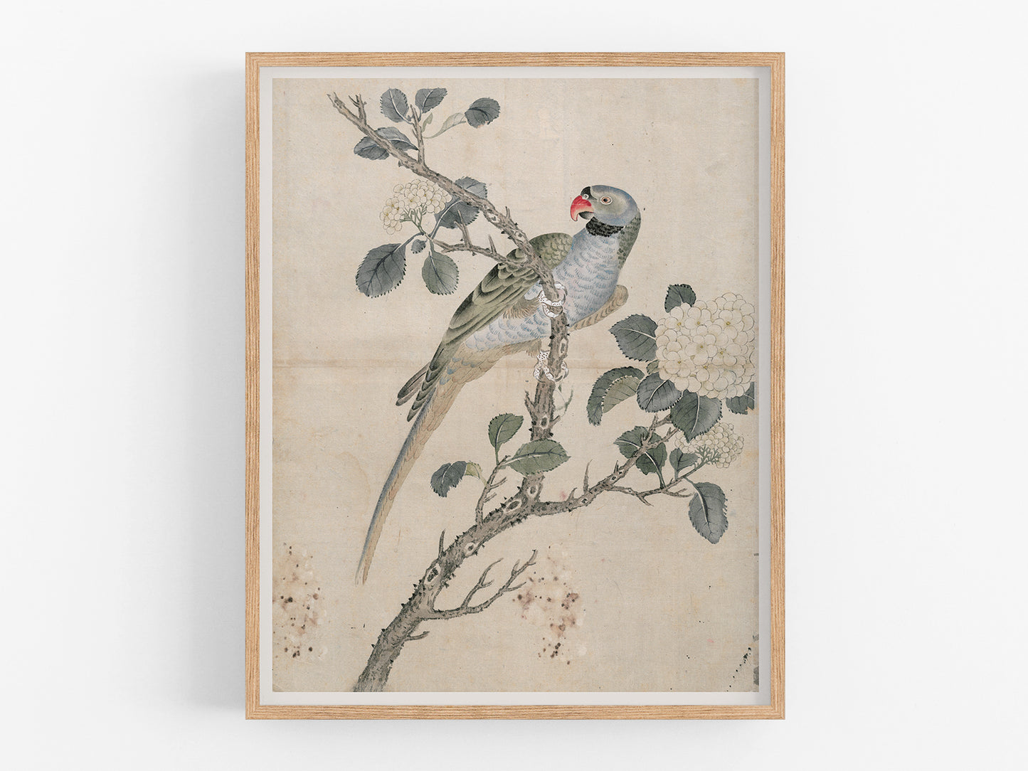 Japanese Parrot Chinoiserie Art Print #1