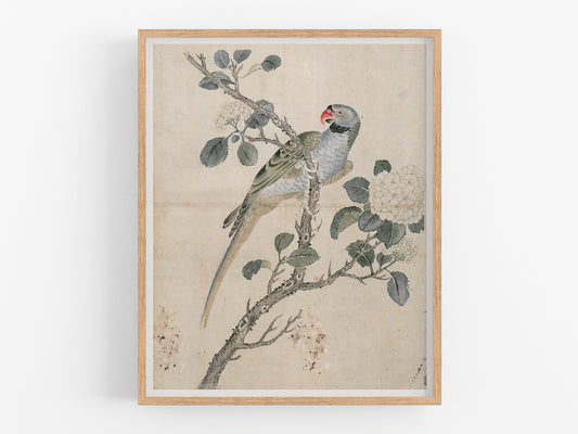 Japanese Parrot Chinoiserie Art Print #1