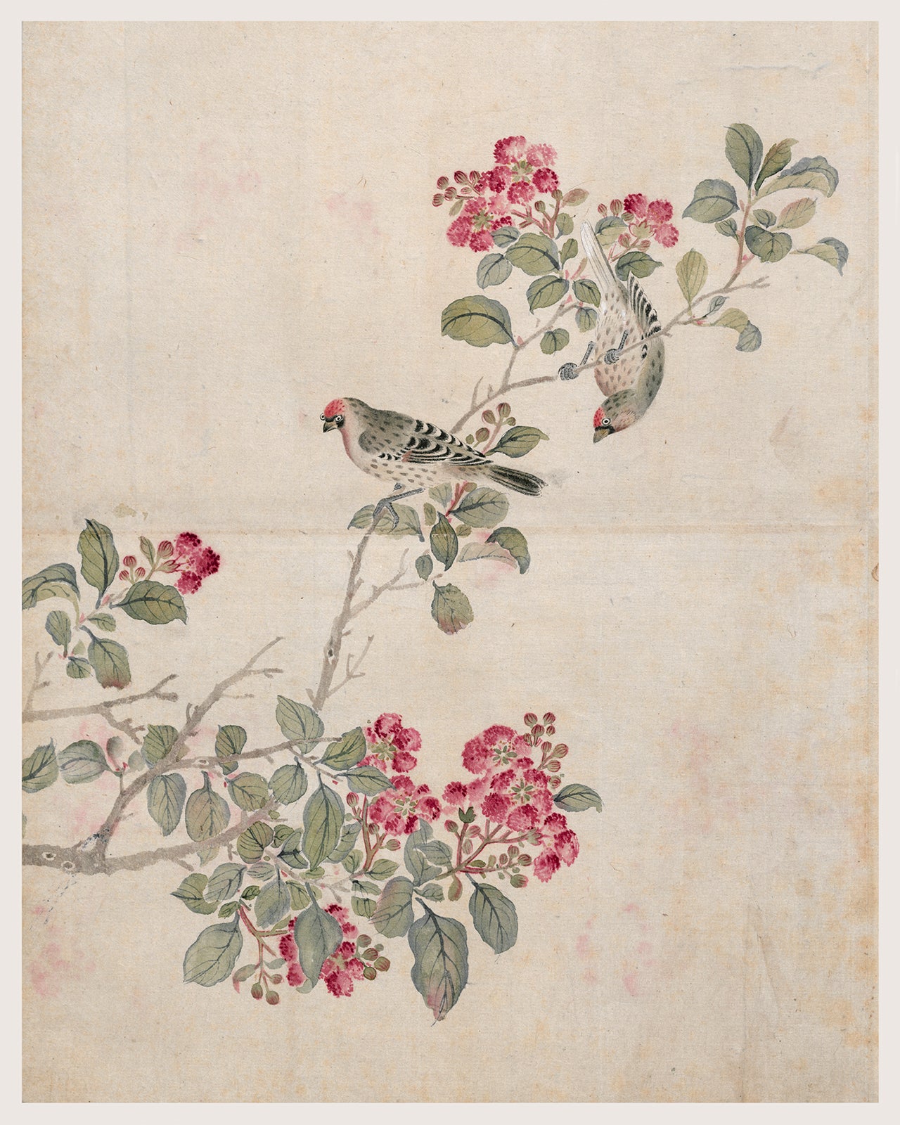 Japanese Bird Chinoiserie Art Print #3