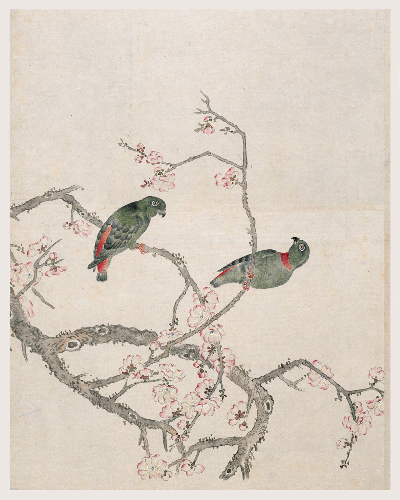 Japanese Bird Chinoiserie Art Print #5: Lovebirds