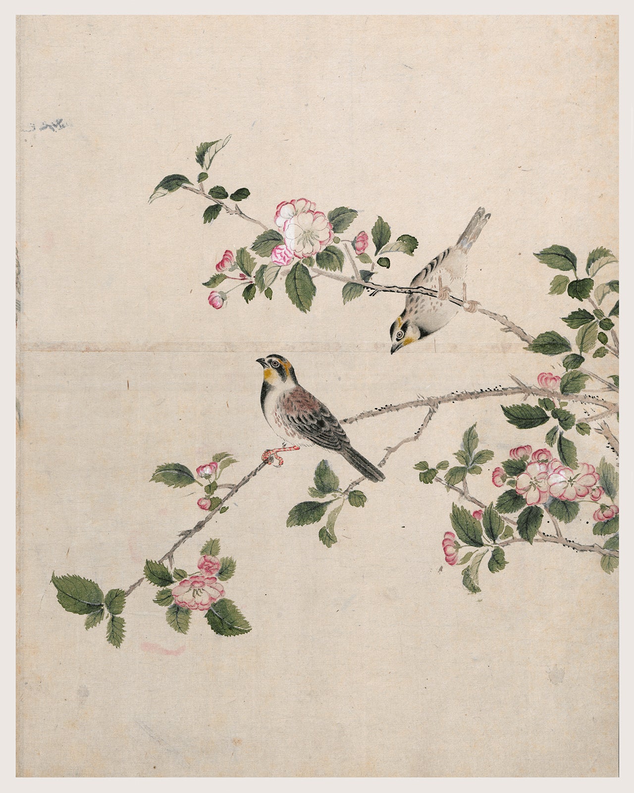 Japanese Bird Chinoiserie Art Print #2