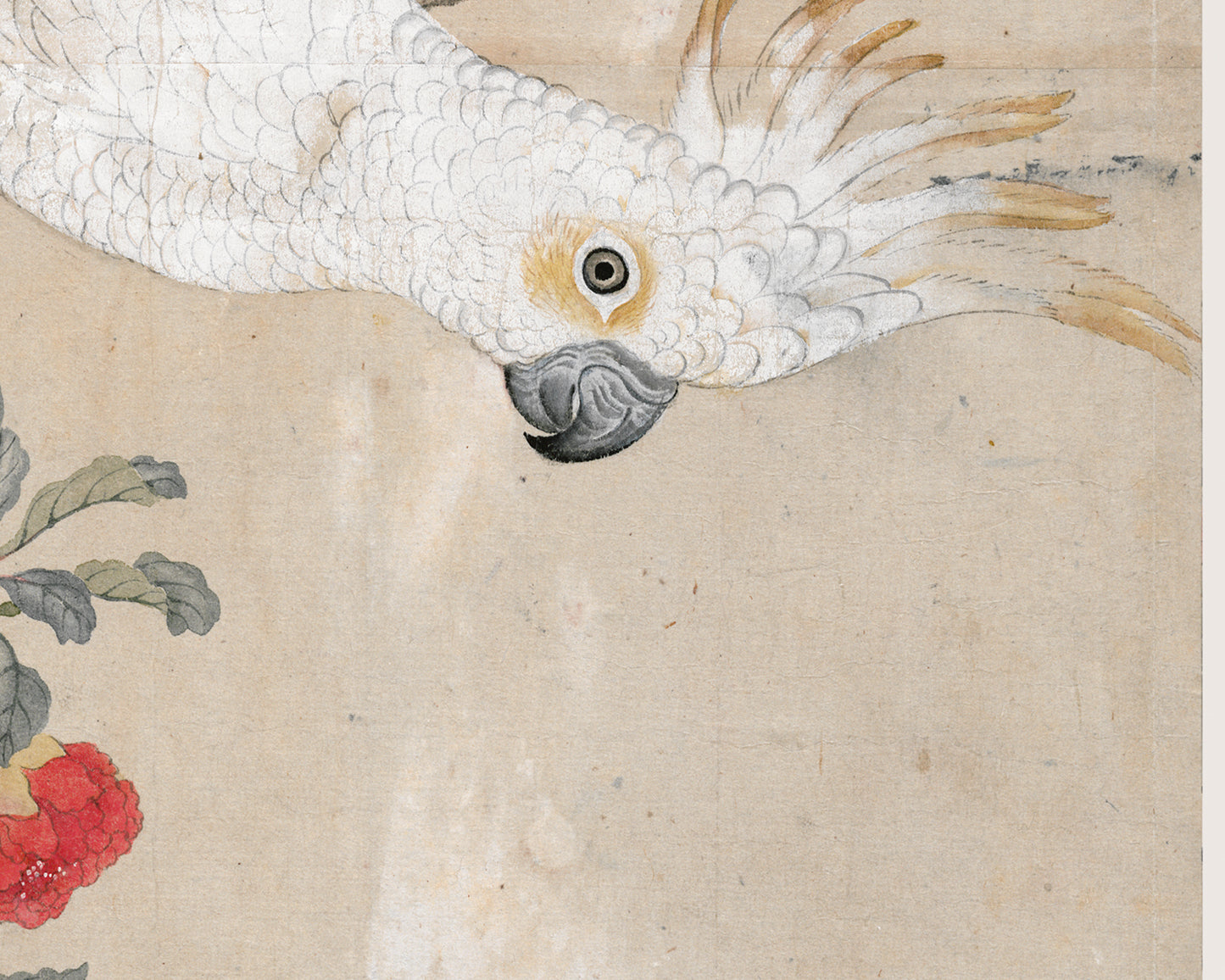 Japanese Parrot Chinoiserie Art Print #2: Cockatoo