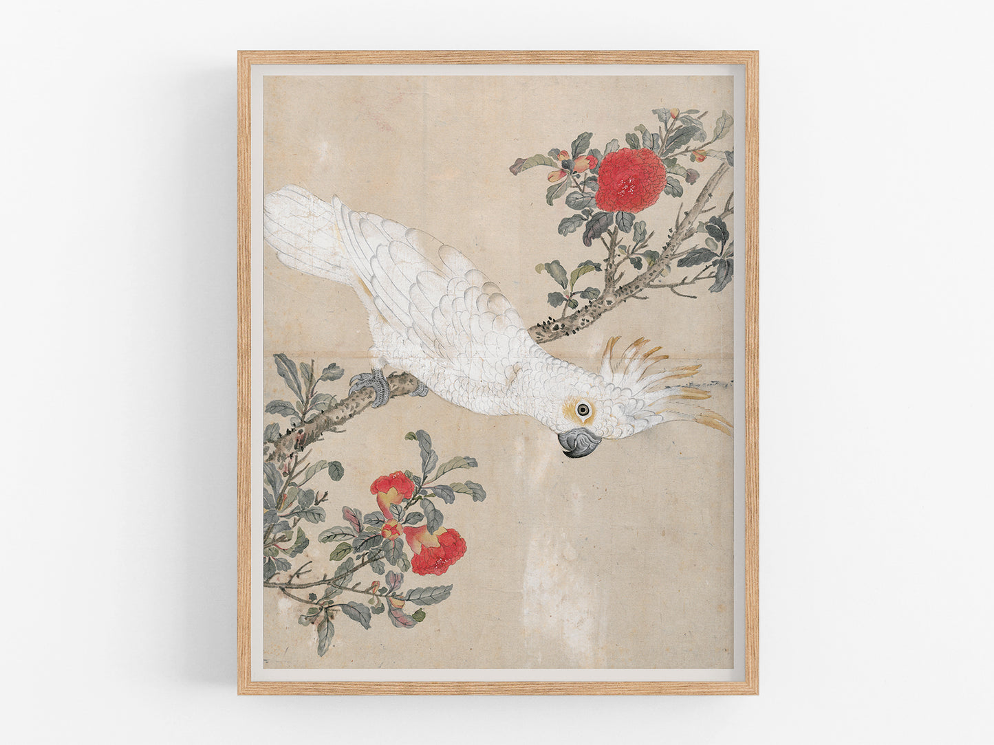 Japanese Parrot Chinoiserie Art Print #2: Cockatoo