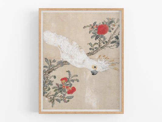 Japanese Parrot Chinoiserie Art Print #2: Cockatoo