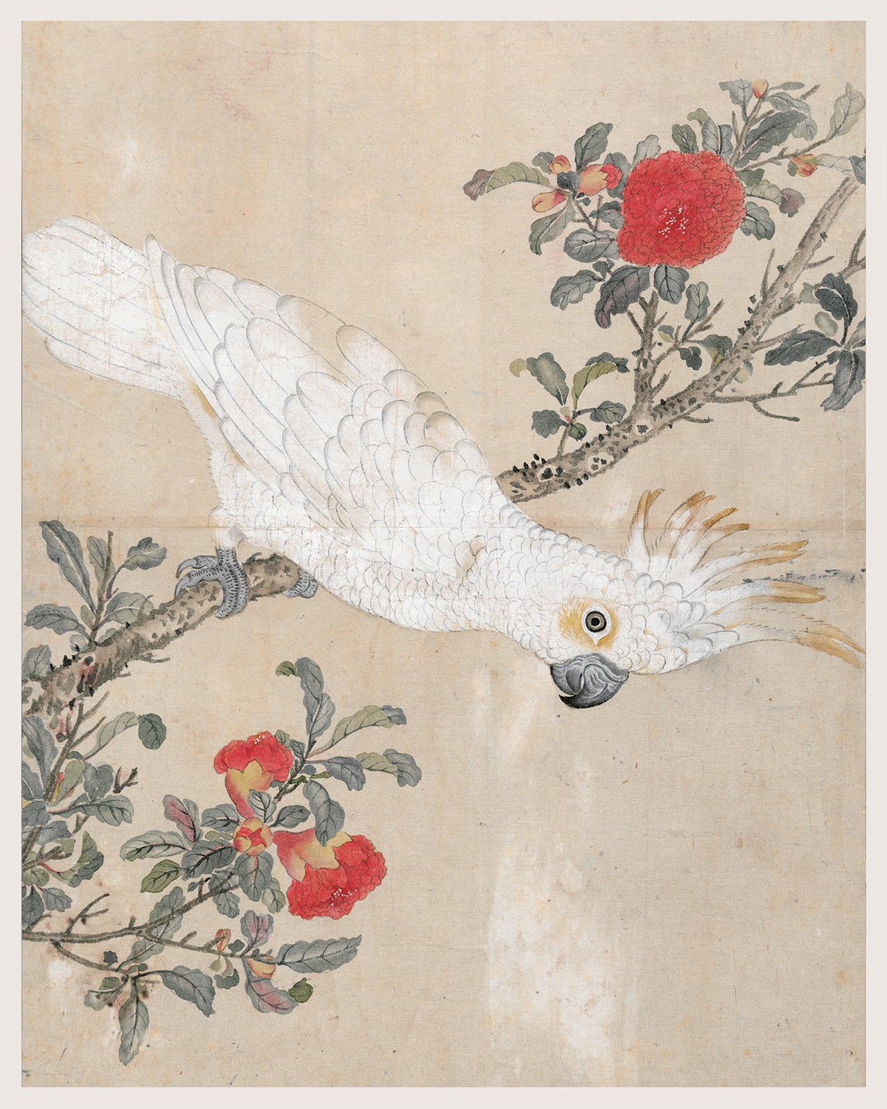 Japanese Parrot Chinoiserie Art Print #2: Cockatoo