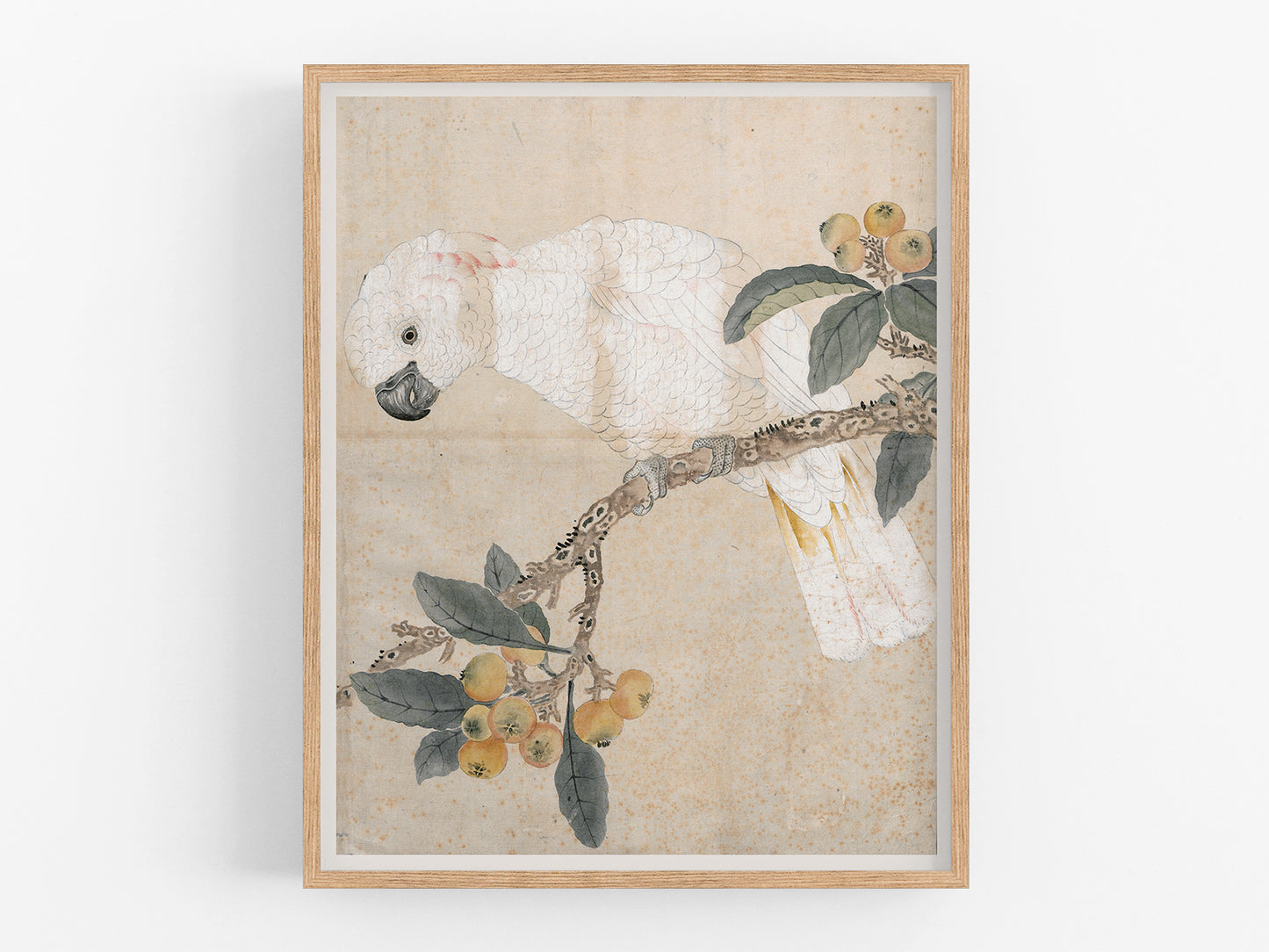 Japanese Parrot Chinoiserie Art Print #3