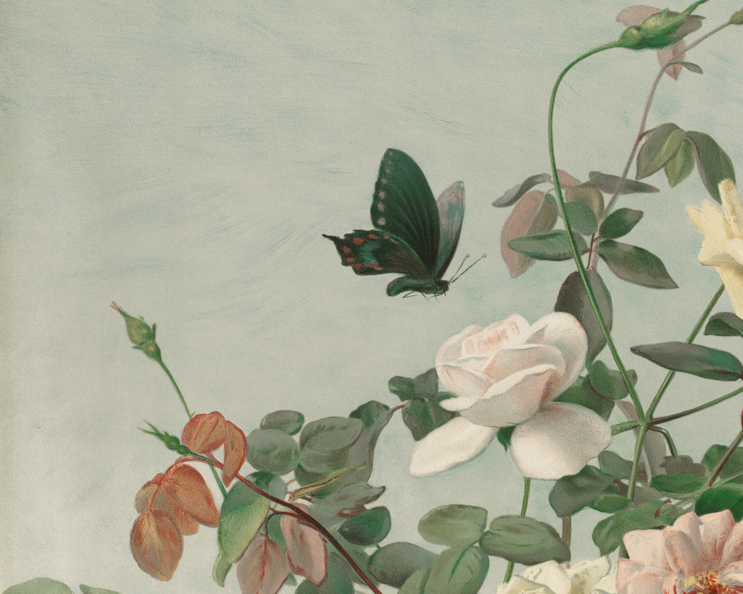 Butterfly with Flowers in June Art Print