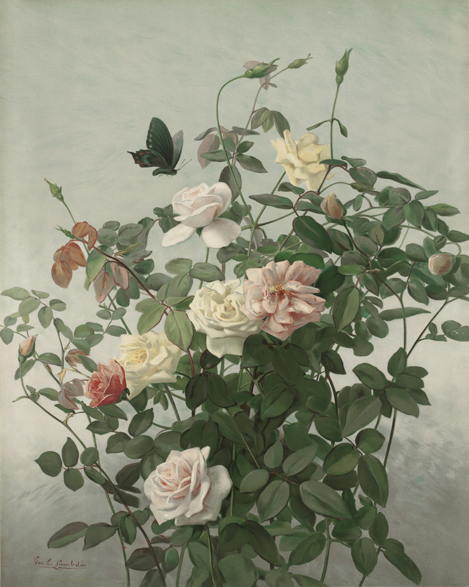 Butterfly with Flowers in June Art Print