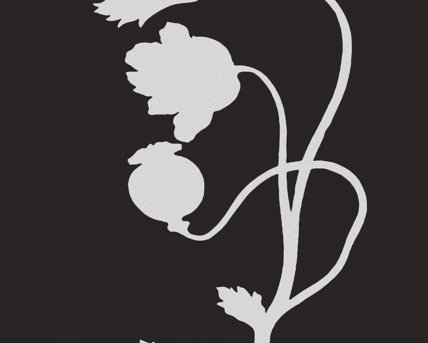 Cut-out Flower Botanical Art Prints - Set of Four