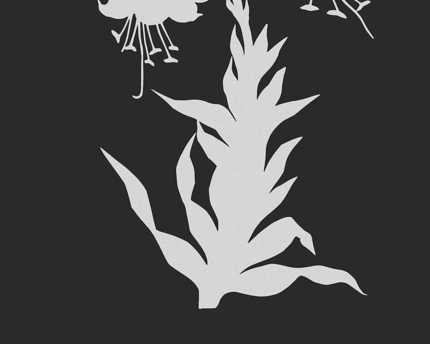 Cut-out Flower Botanical Art Prints - Set of Four