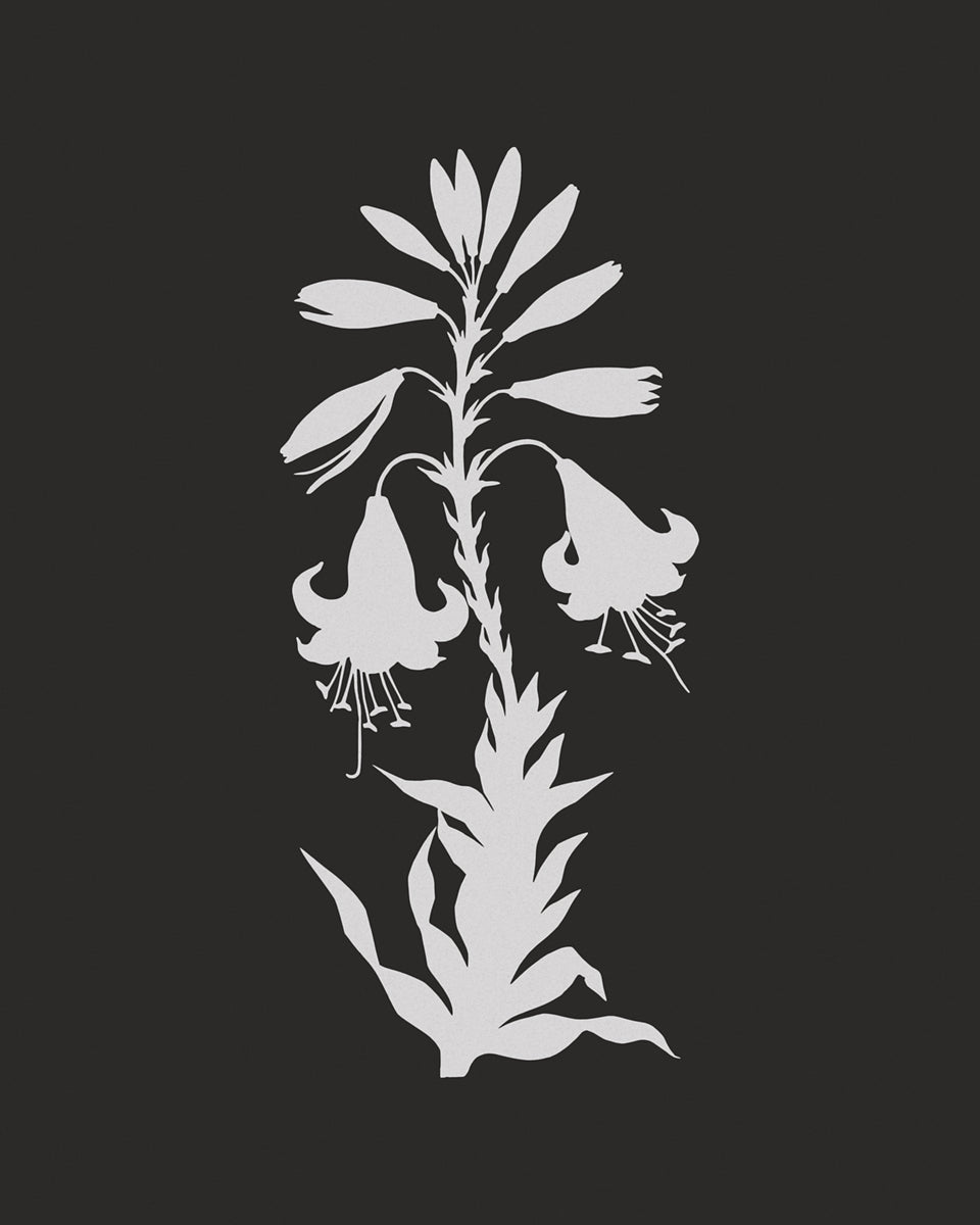 Cut-out Flower Botanical Art Prints - Set of Four