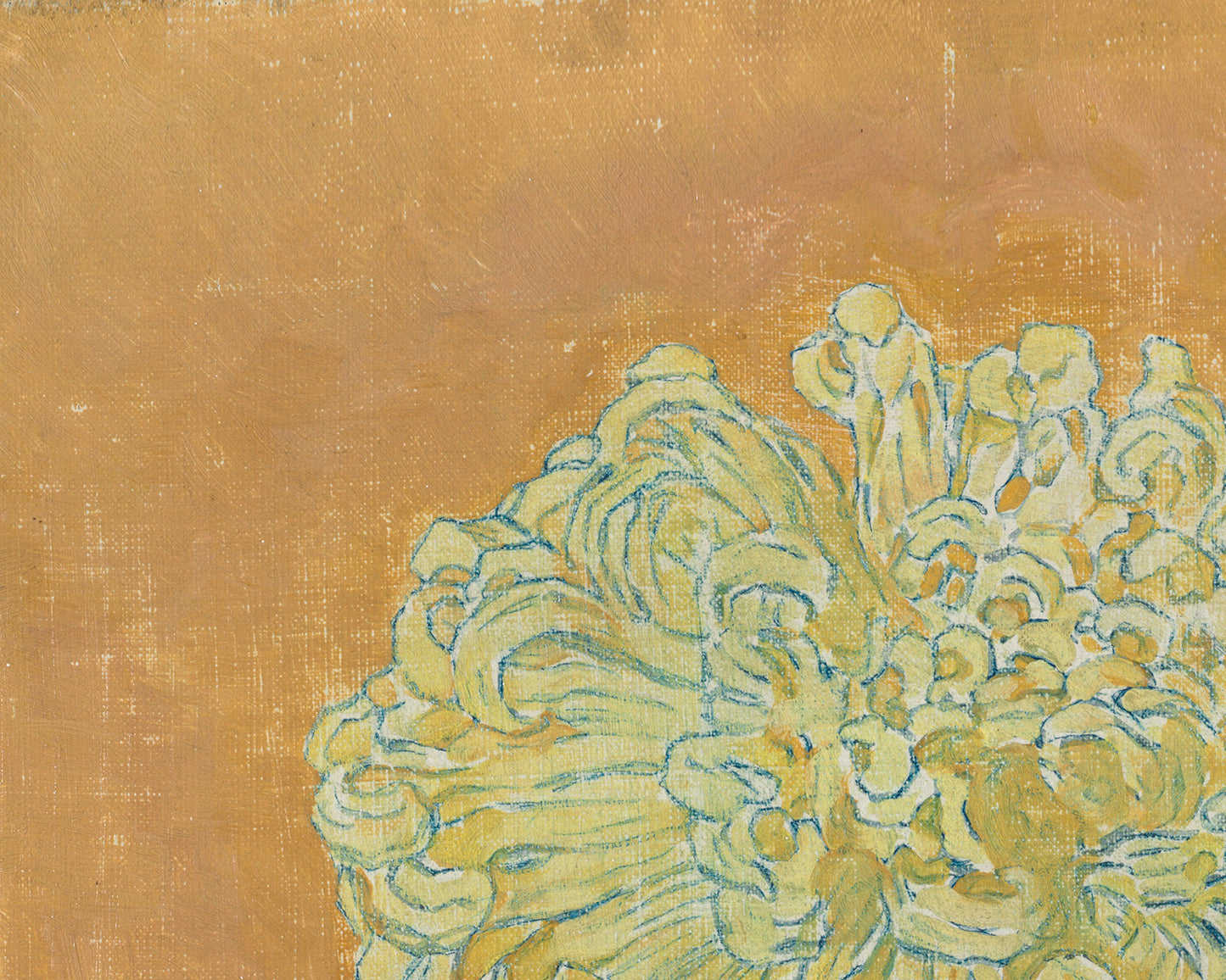 Yellow Chrysanthemum Flower Art Print