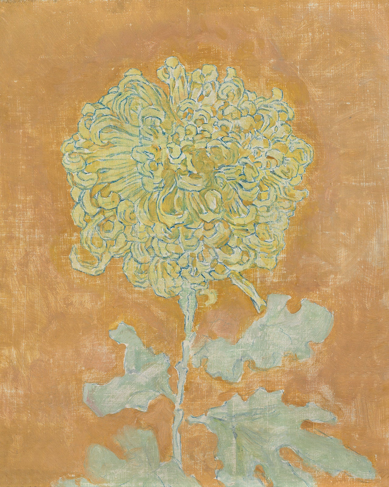 Yellow Chrysanthemum Flower Art Print