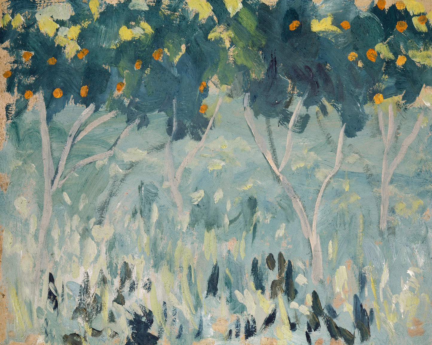 Orange Trees Art Print