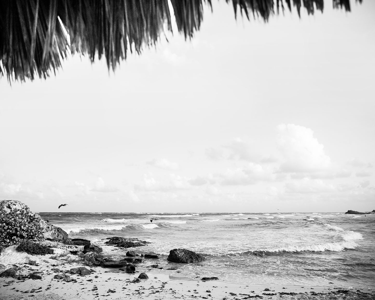 Tulum Mexico Beach B&W Photo Print