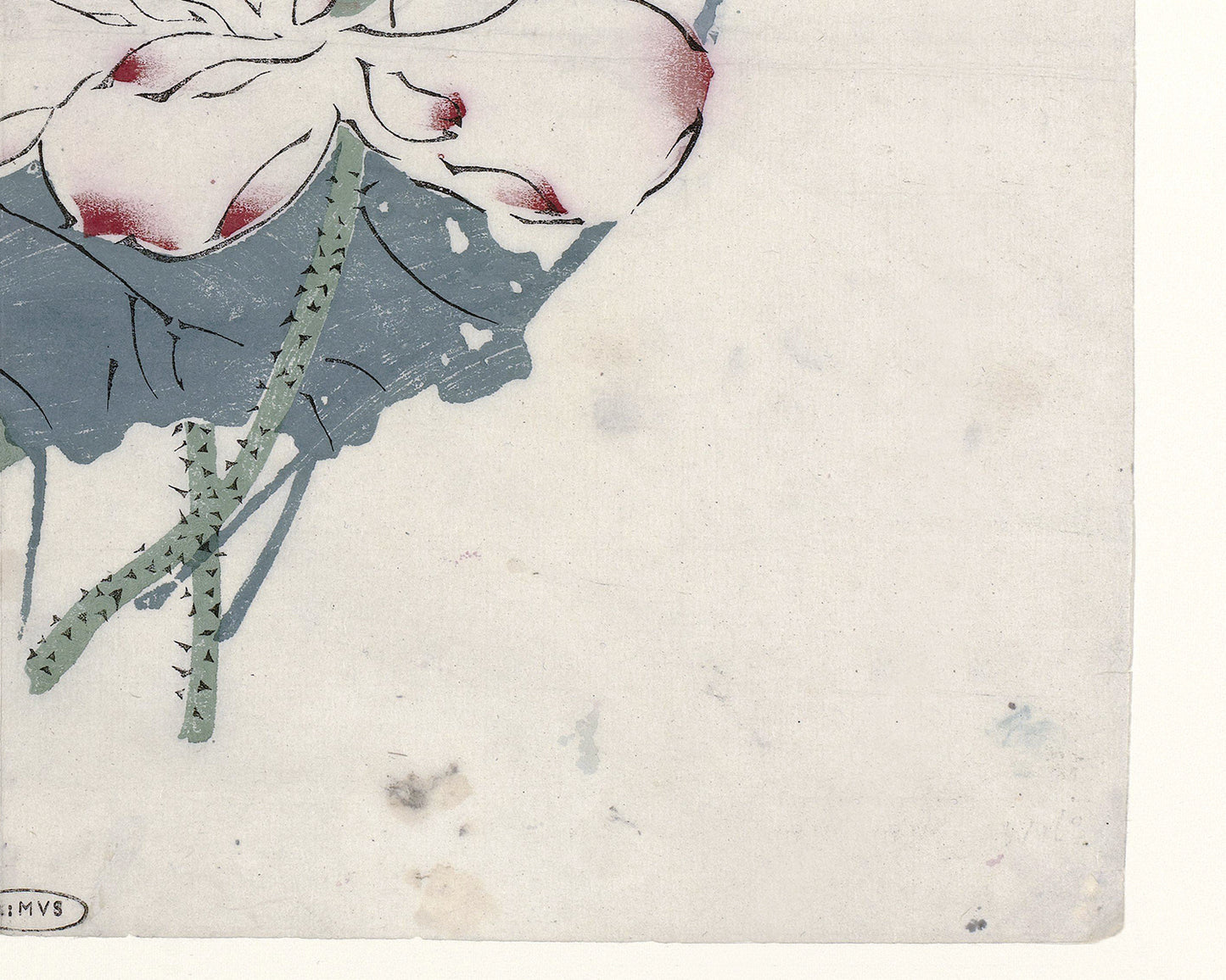 Chinese Lotus Flower Art Print