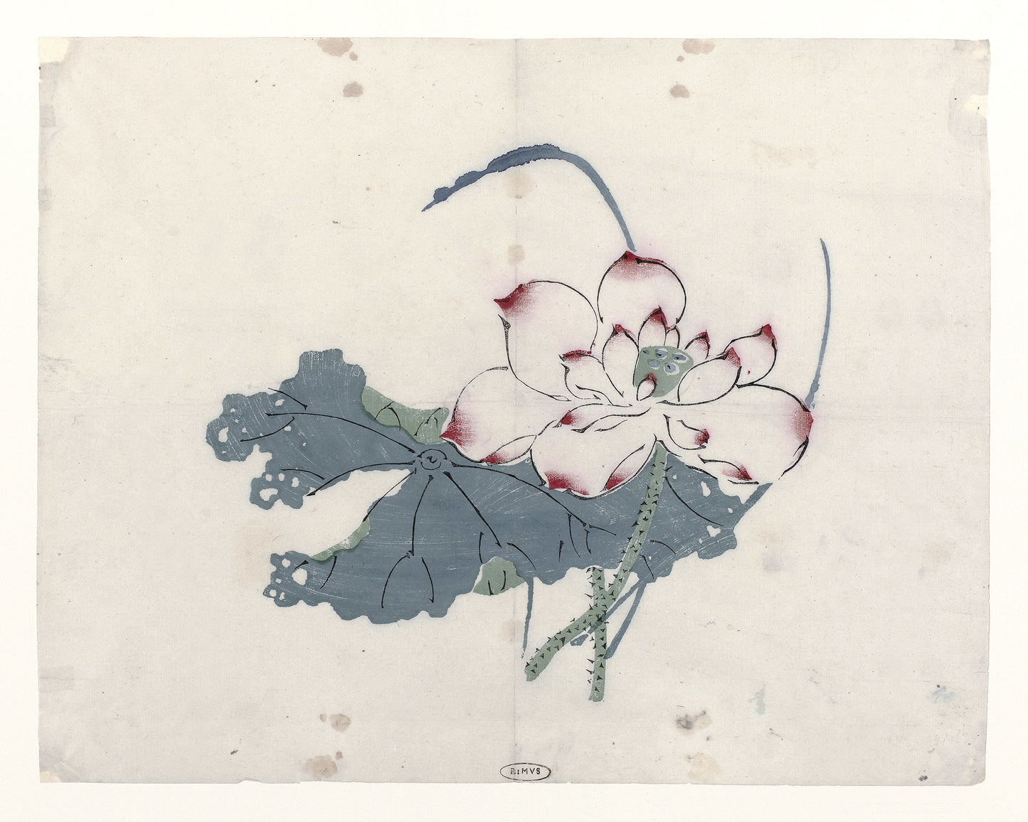 Chinese Lotus Flower Art Print