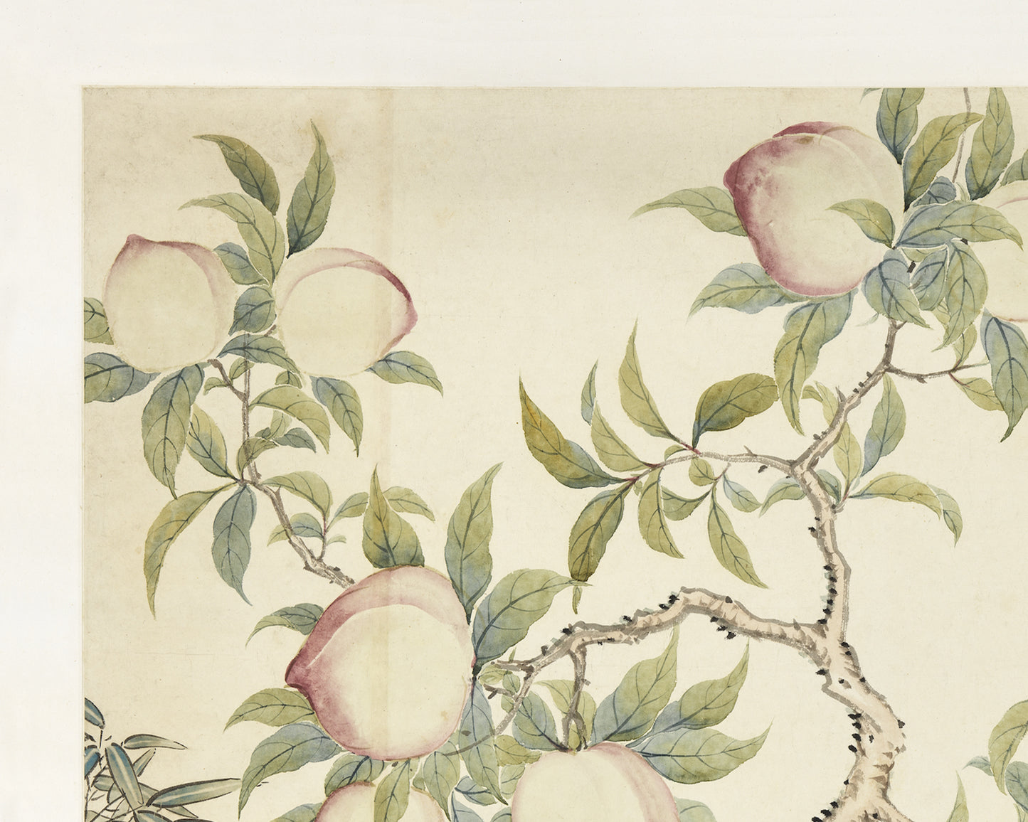Chinese Peaches & Flowers Art Print