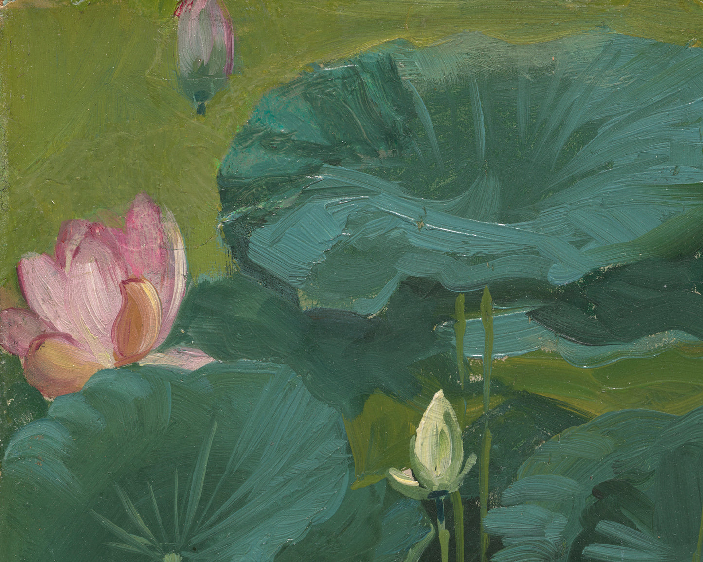 Lotus Blossom Flower (Buddha's Flowers) Art Print