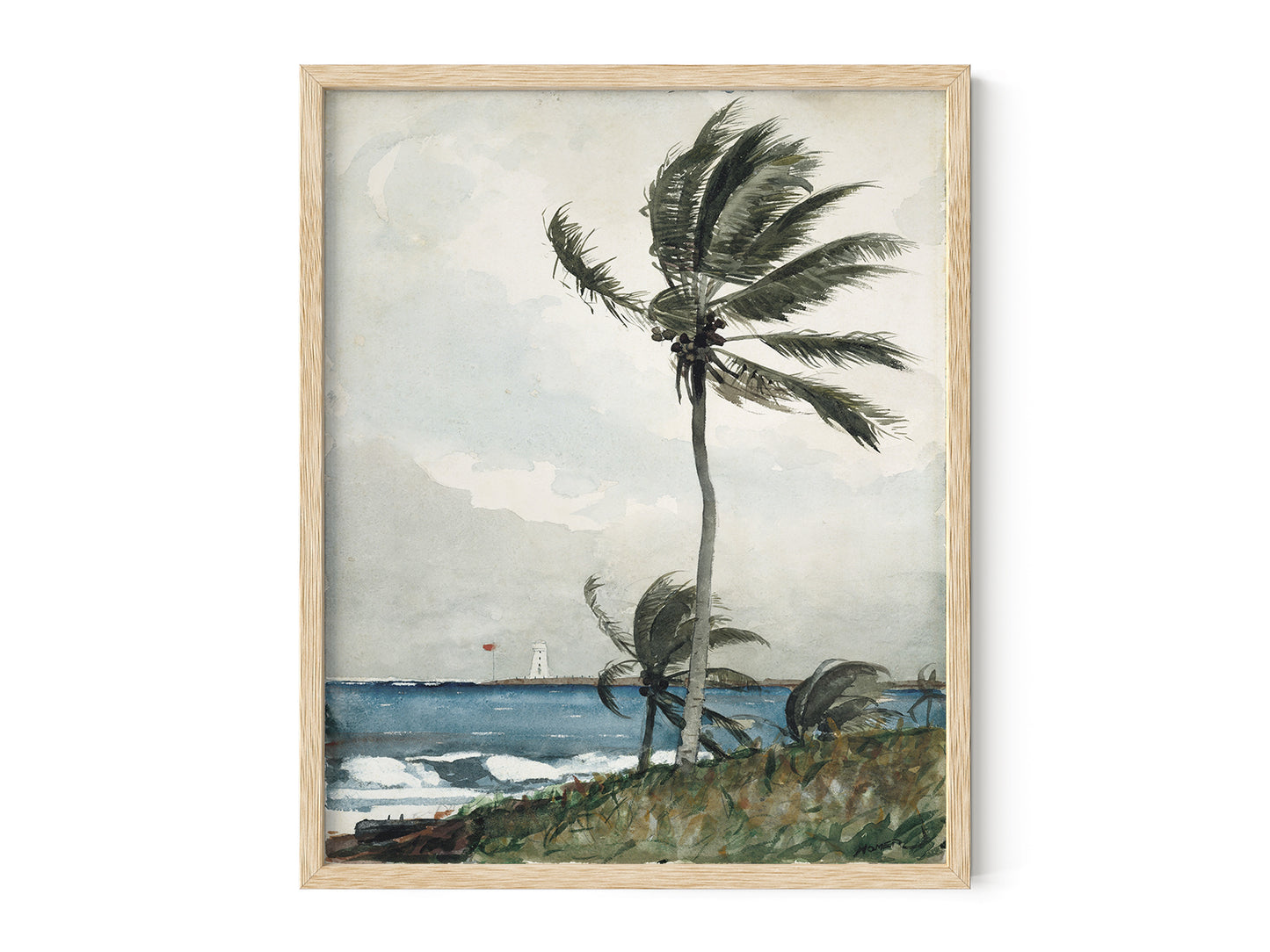 Nassau Palm Tree Watercolor Art Print