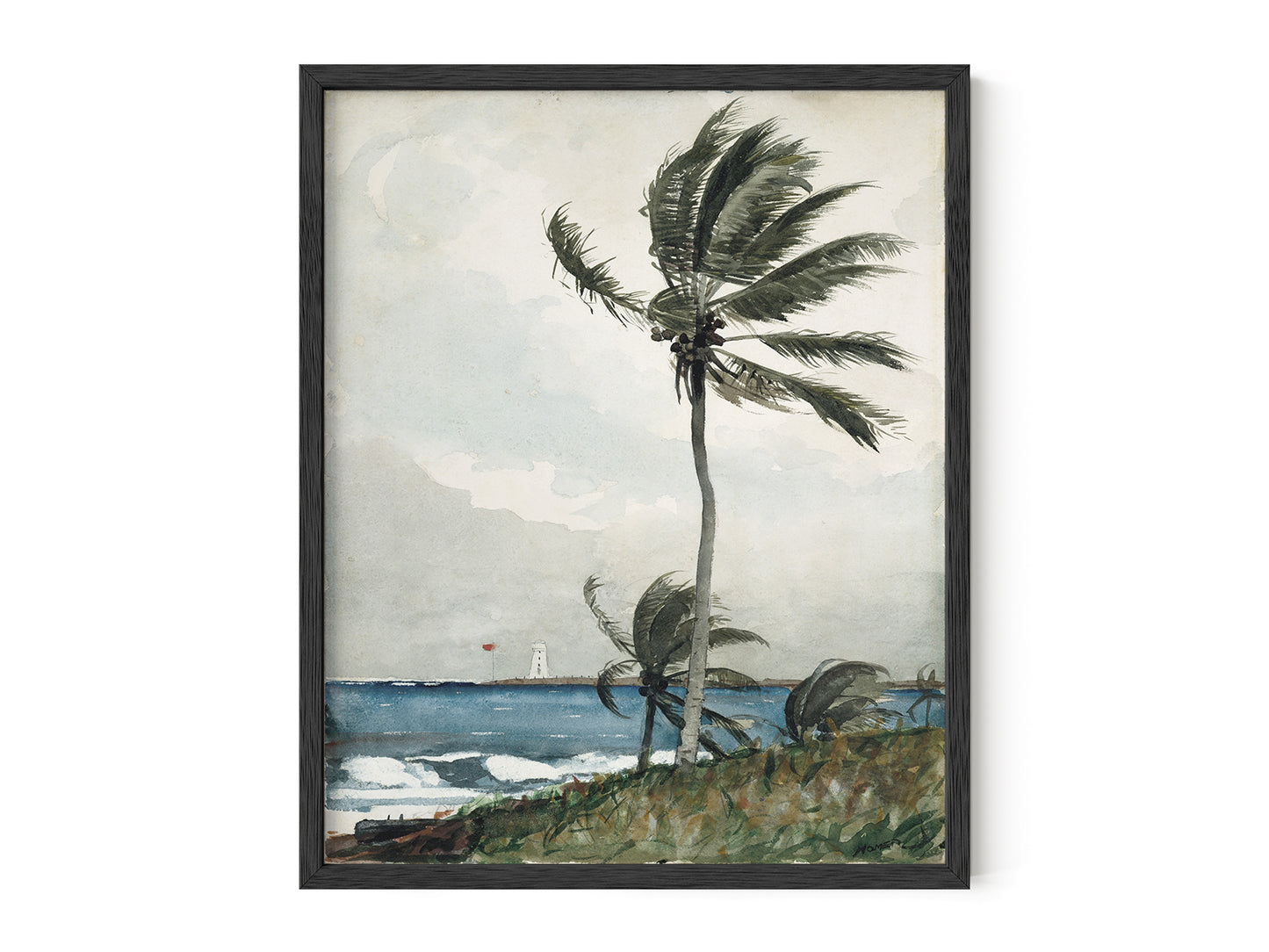 Nassau Palm Tree Watercolor Art Print