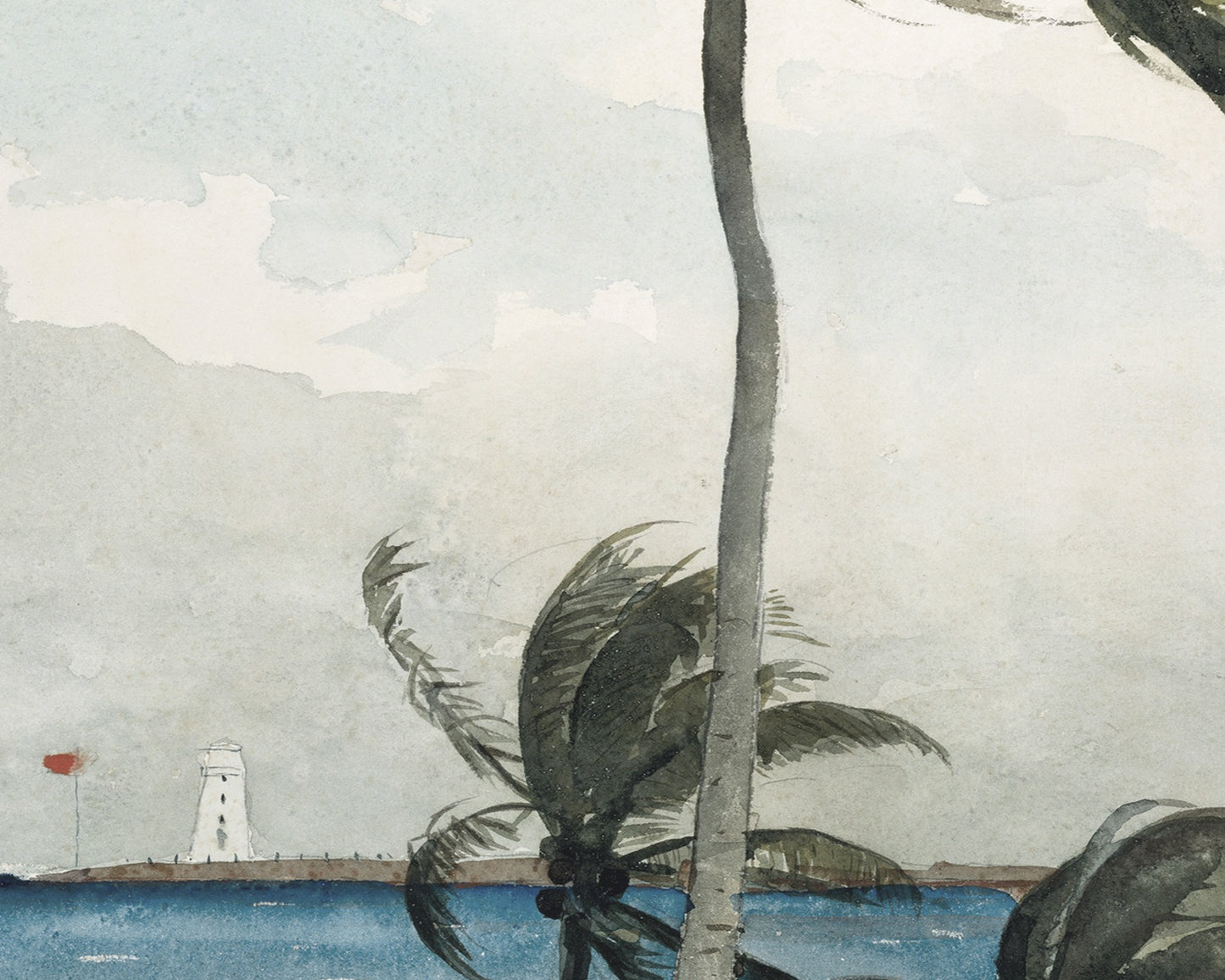 Nassau Palm Tree Watercolor Art Print