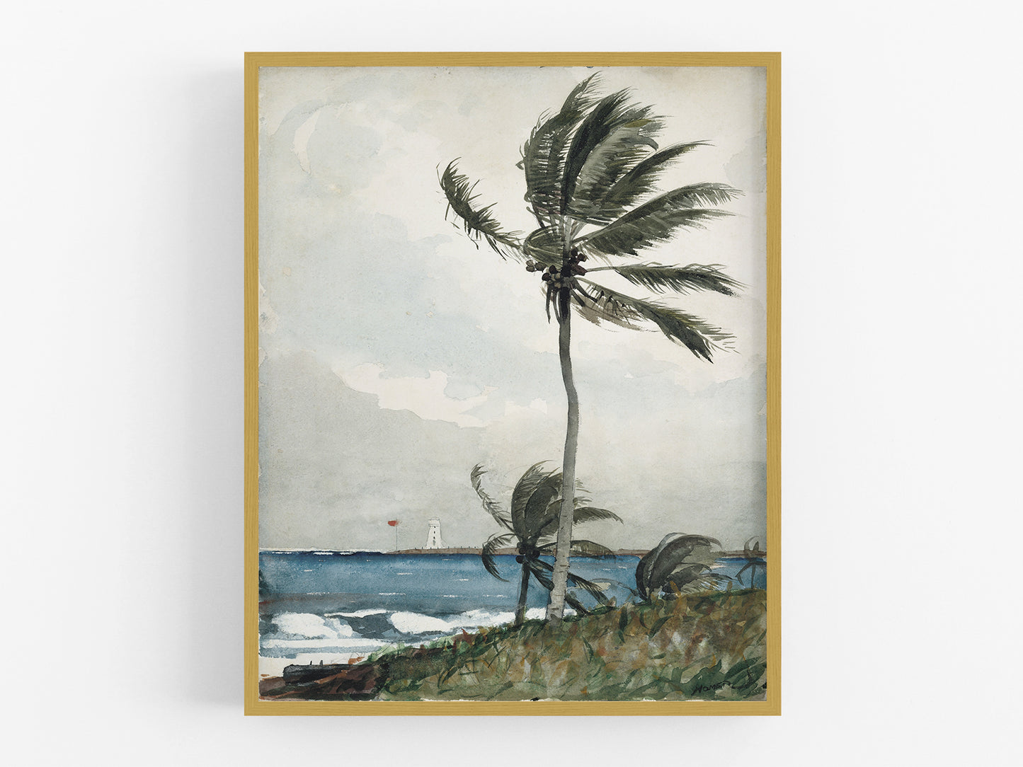 Nassau Palm Tree Watercolor Art Print
