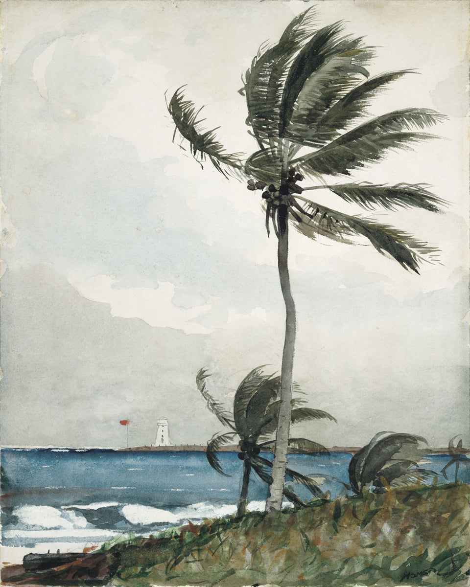 Nassau Palm Tree Watercolor Art Print