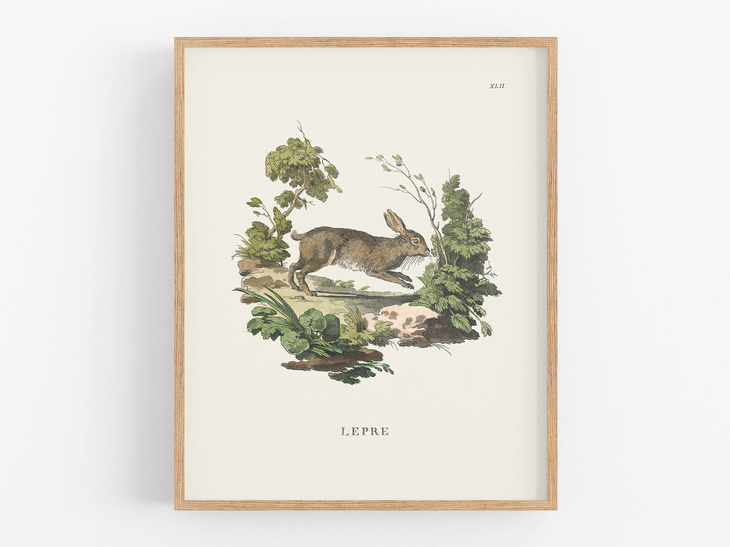 Bunny Art Print: Lepre