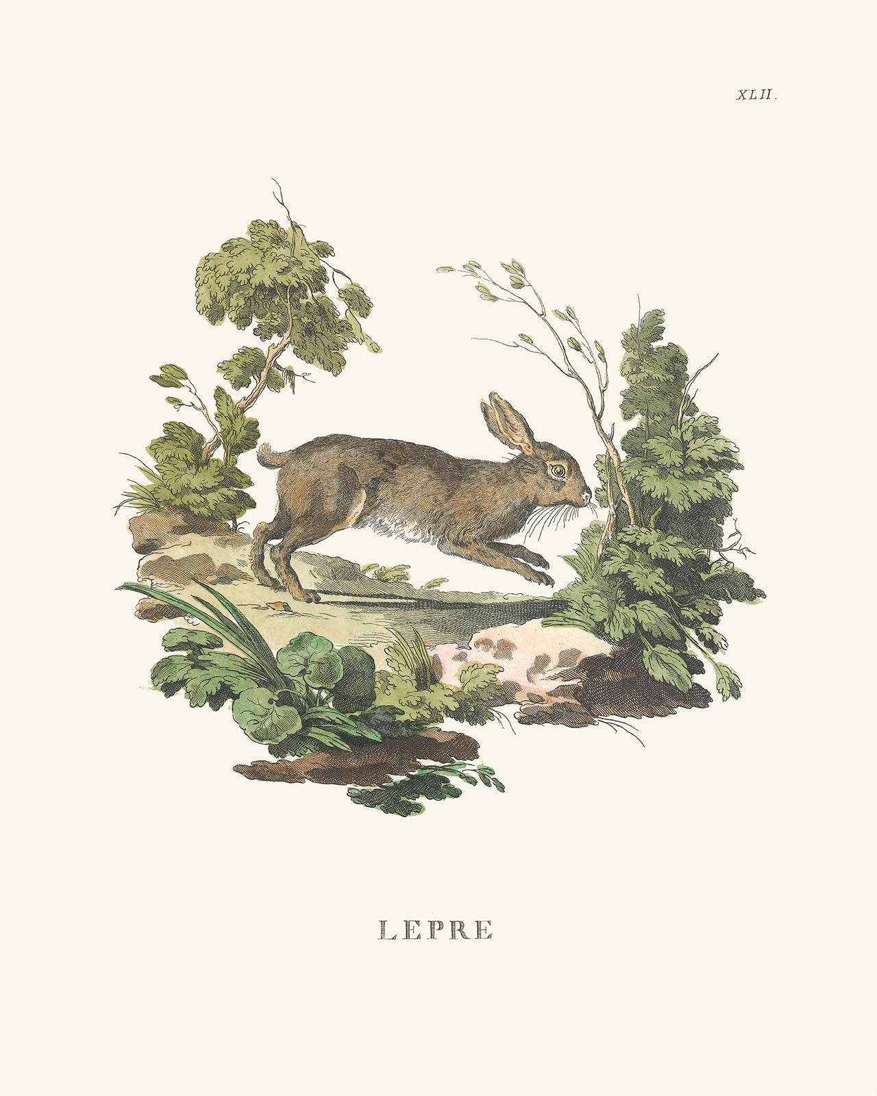 Bunny Art Print: Lepre