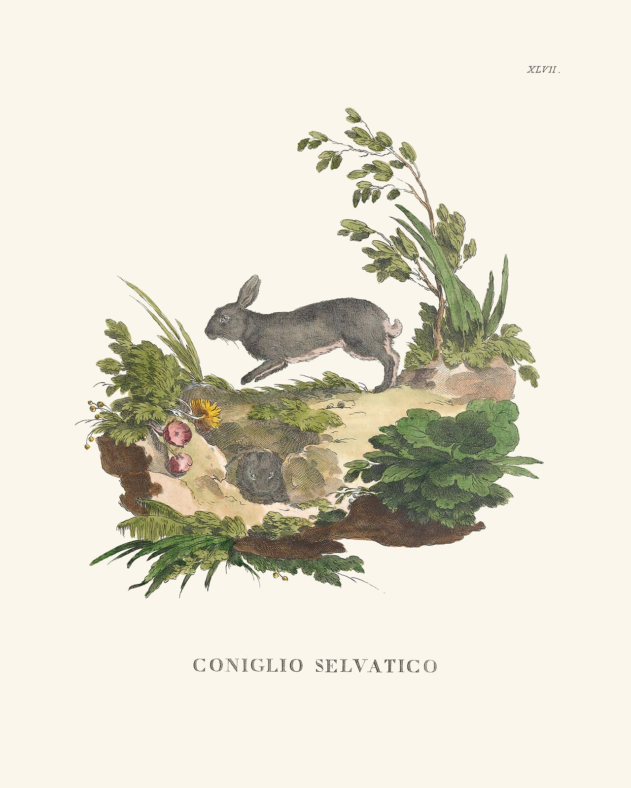 Bunny Art Print: Conglio Selvatico