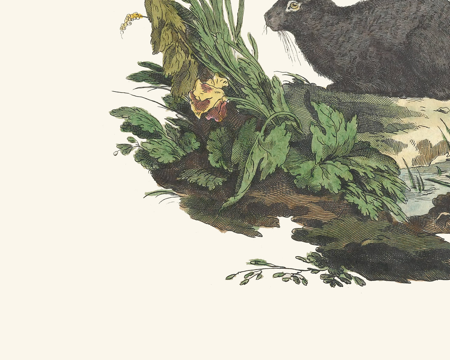 Bunny Art Prints, Set #2 - Set of Two