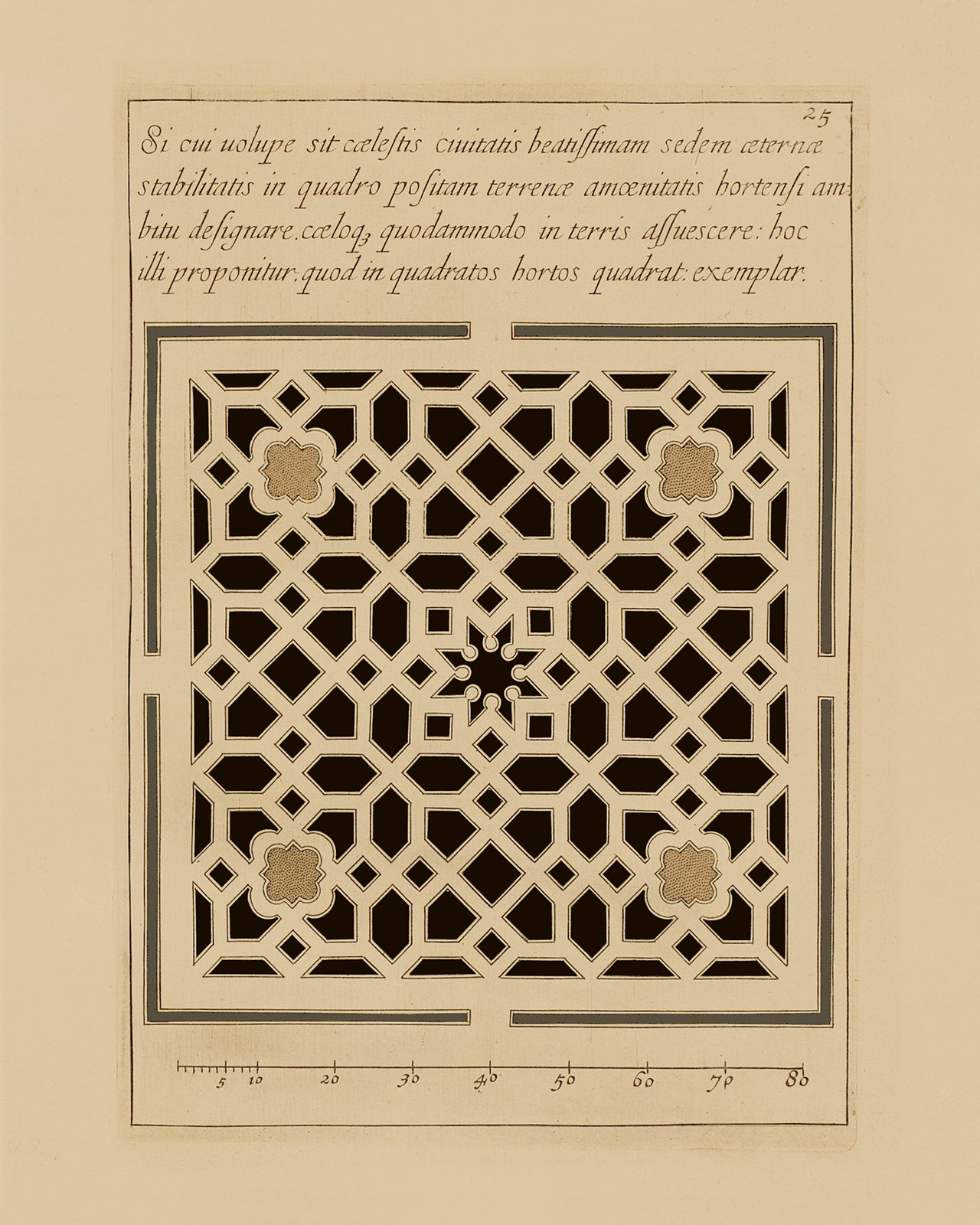 Garden Plan Art Print #3