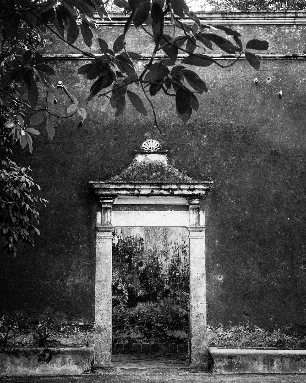 Mexico Jungle Hacienda Doorway B&W Photo Print