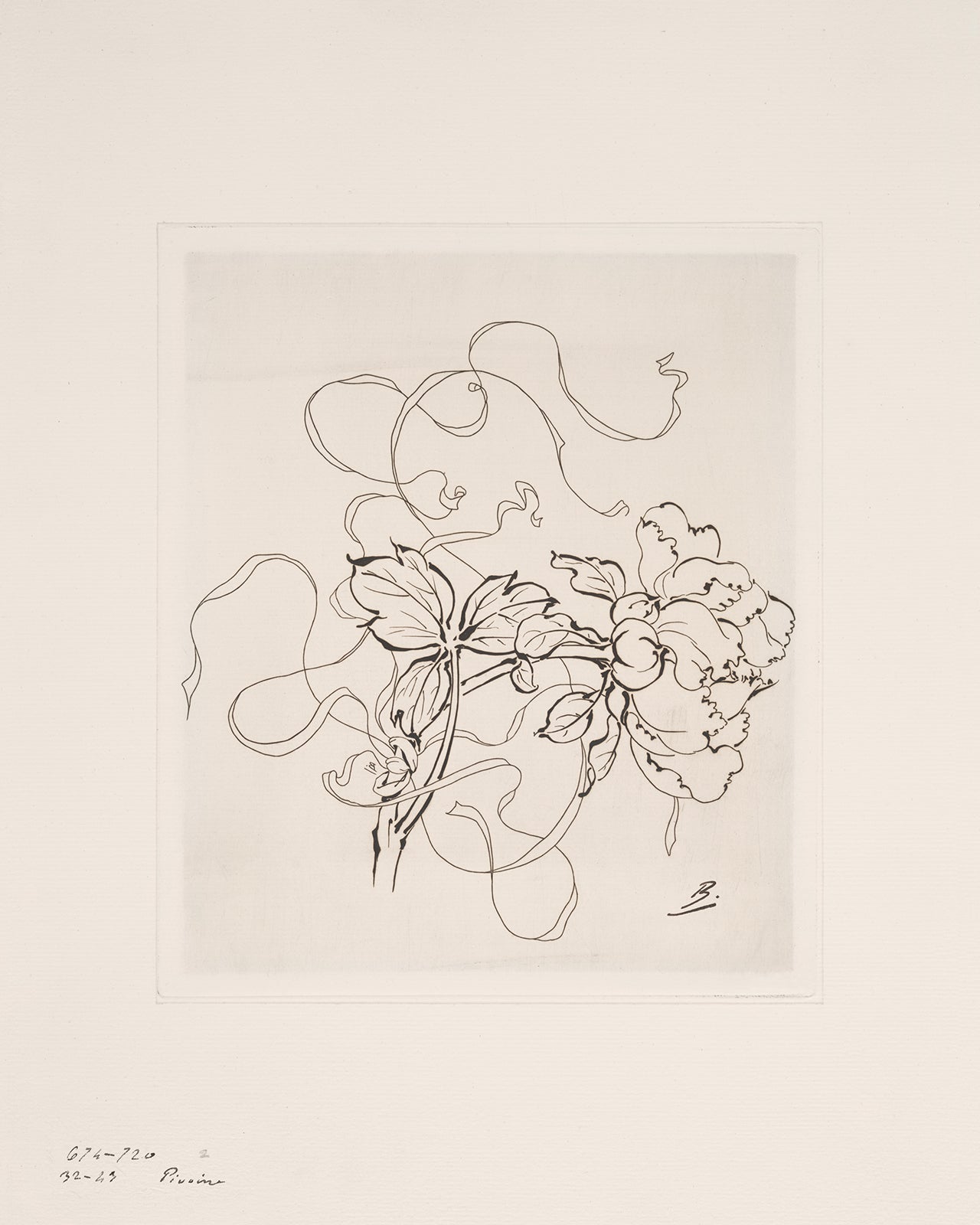 French Porcelain Flower Sketch Art Prints - Set of Nine