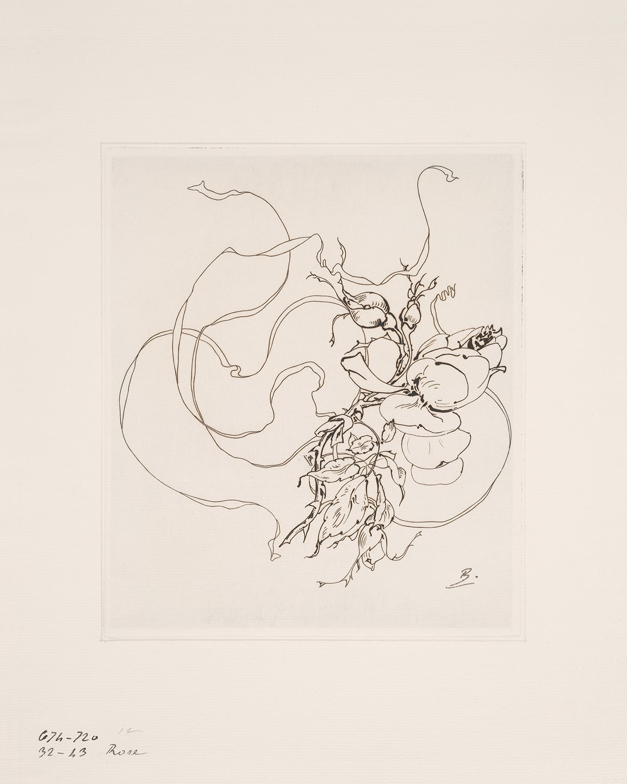 French Porcelain Flower Sketch Art Prints - Set of Nine
