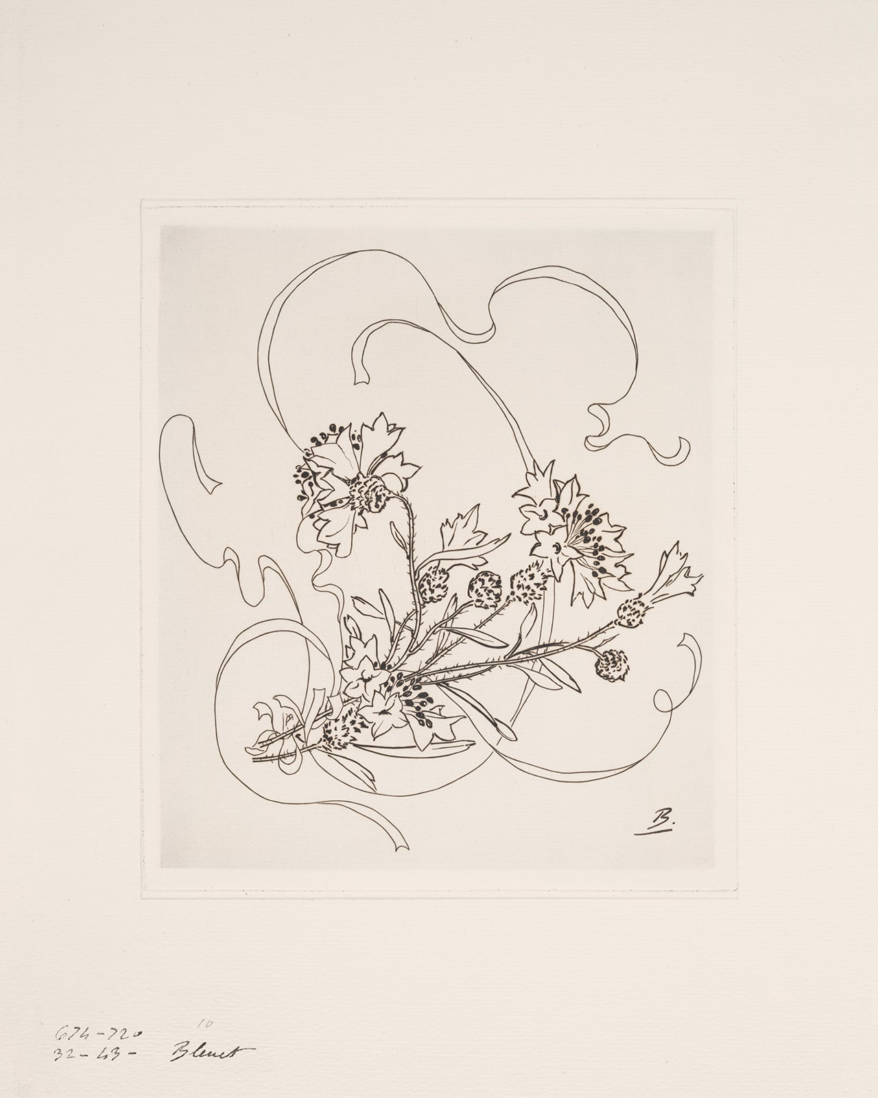 French Porcelain Flower Sketch Art Prints - Set of Nine