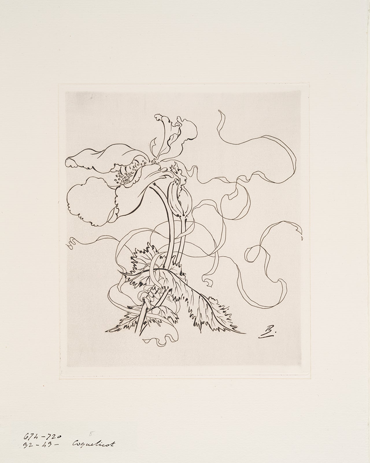 French Porcelain Flower Sketch Art Prints, Set #1 - Set of Four