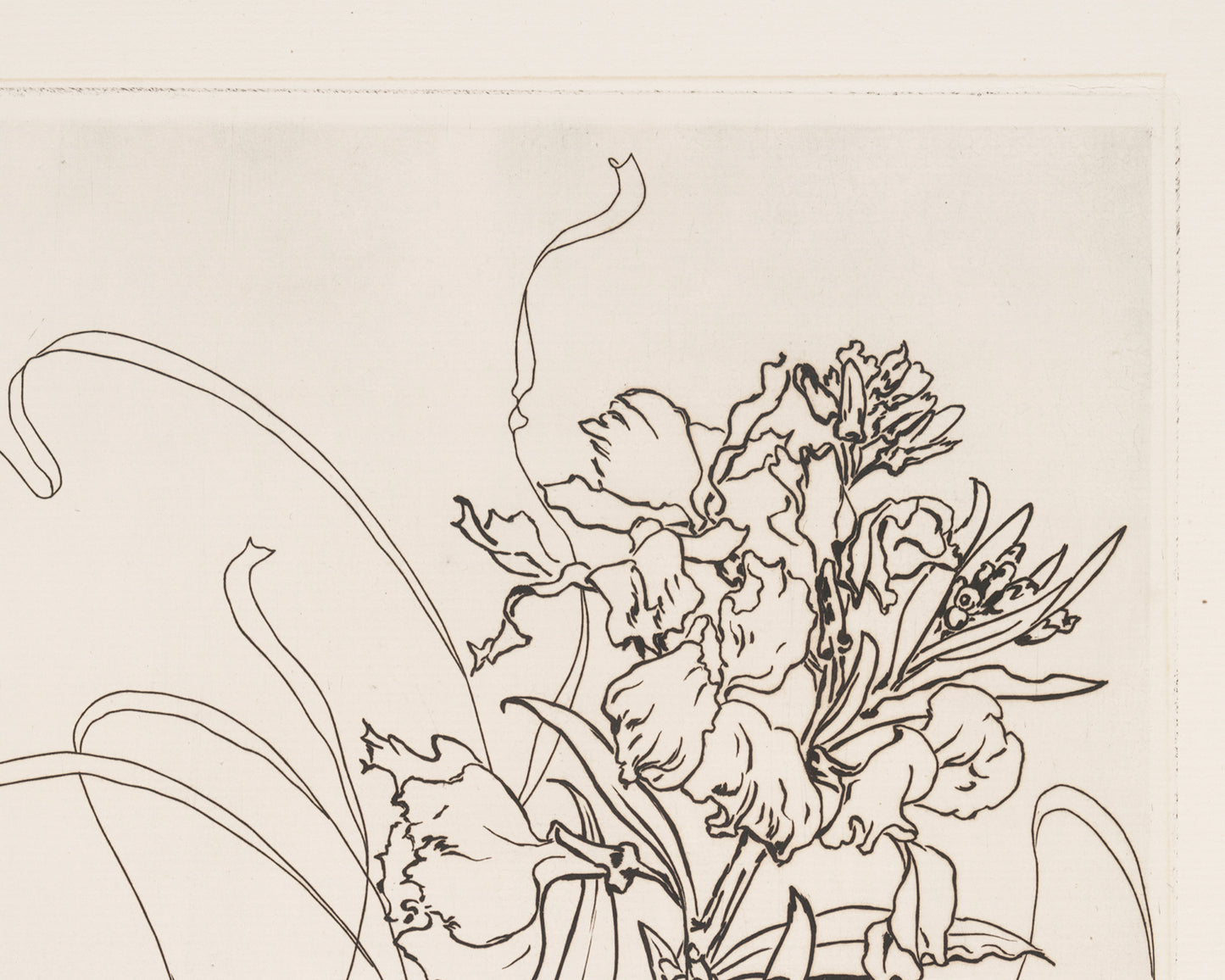 French Porcelain Flower Sketch Art Print: Assiette (Giroflee)