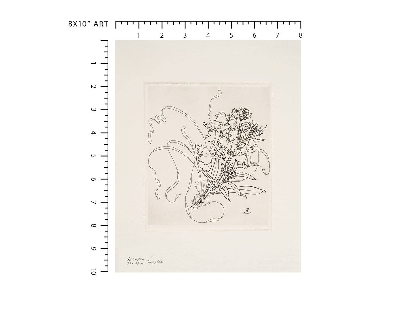 French Porcelain Flower Sketch Art Prints - Set of Nine