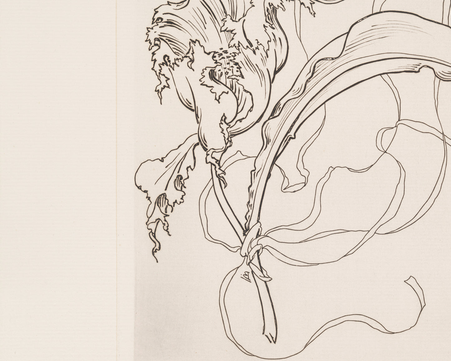 French Porcelain Flower Sketch Art Print: Assiette (Tulipe)