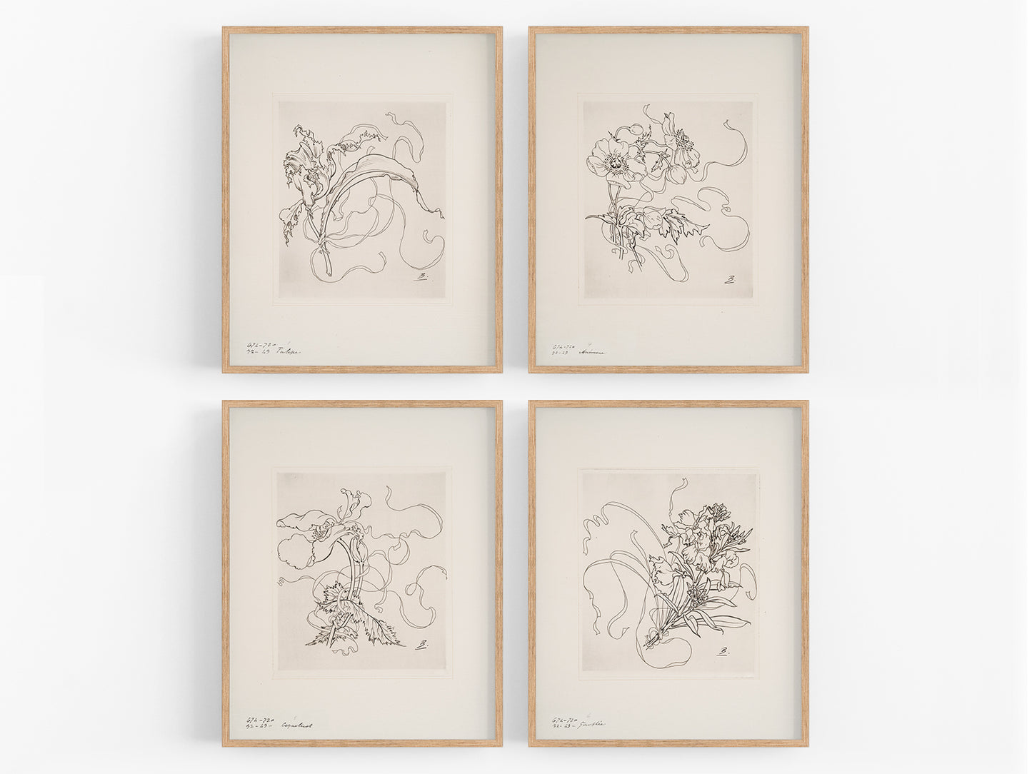 French Porcelain Flower Sketch Art Prints, Set #1 - Set of Four