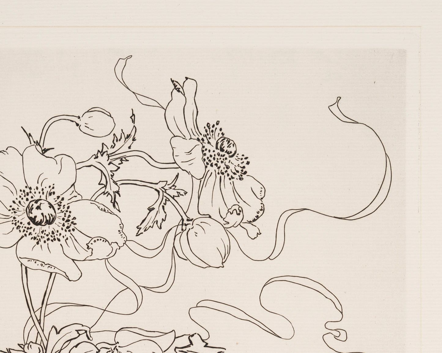 French Porcelain Flower Sketch Art Print: Anemone
