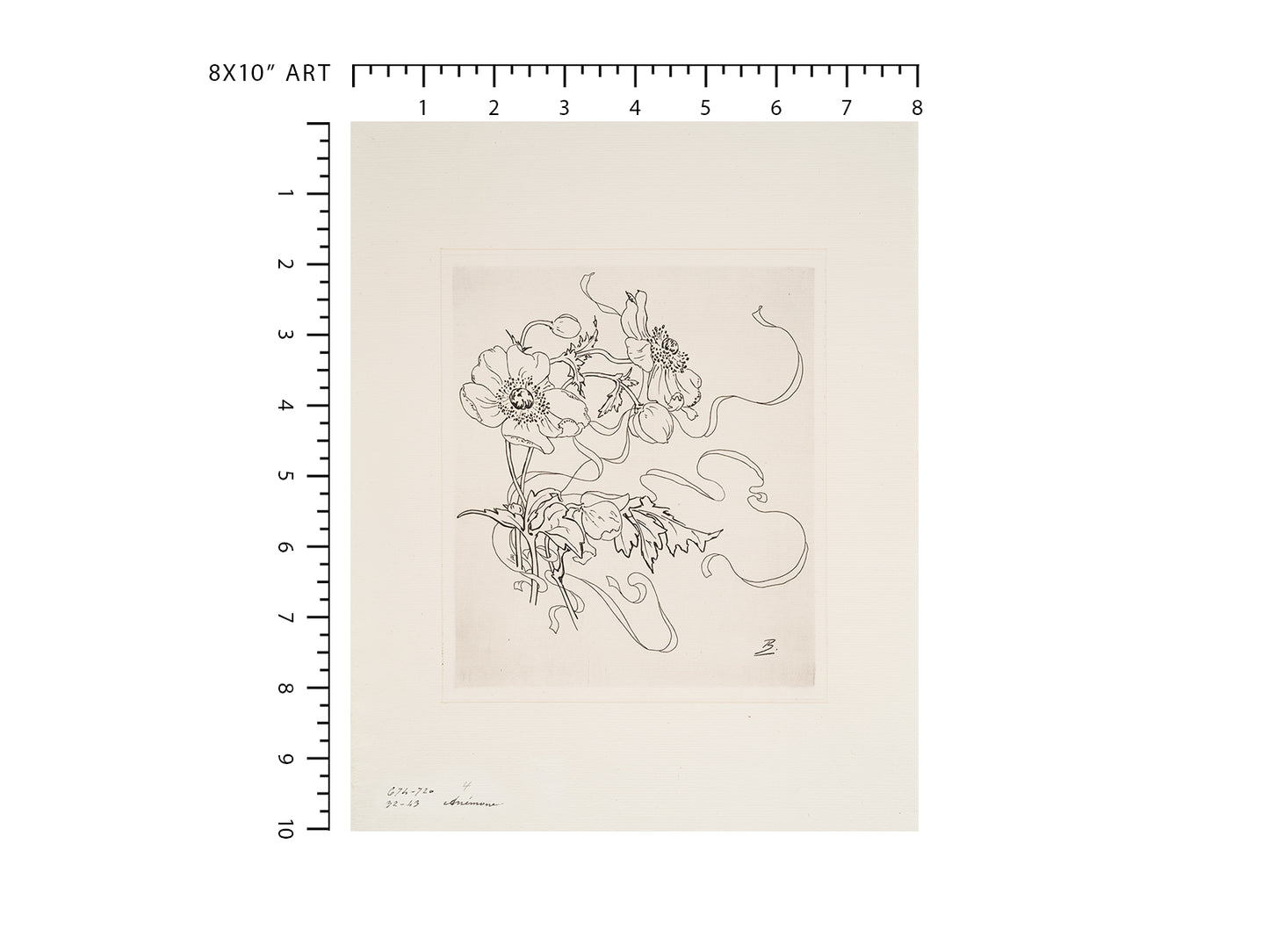 French Porcelain Flower Sketch Art Print: Anemone