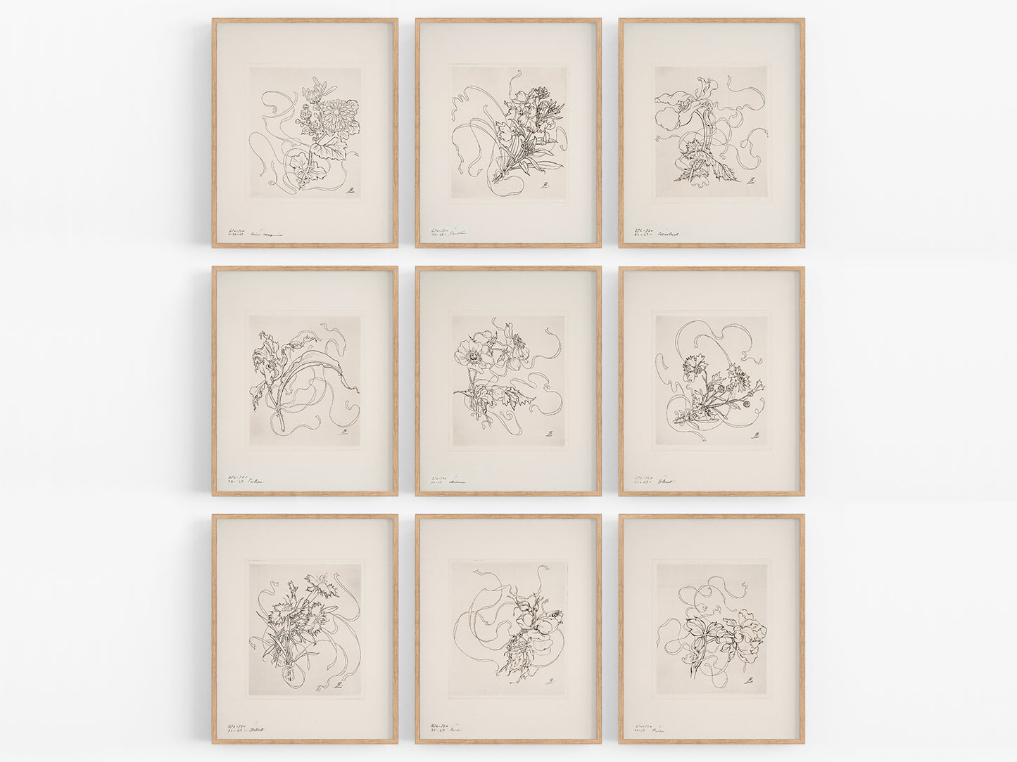 French Porcelain Flower Sketch Art Prints - Set of Nine