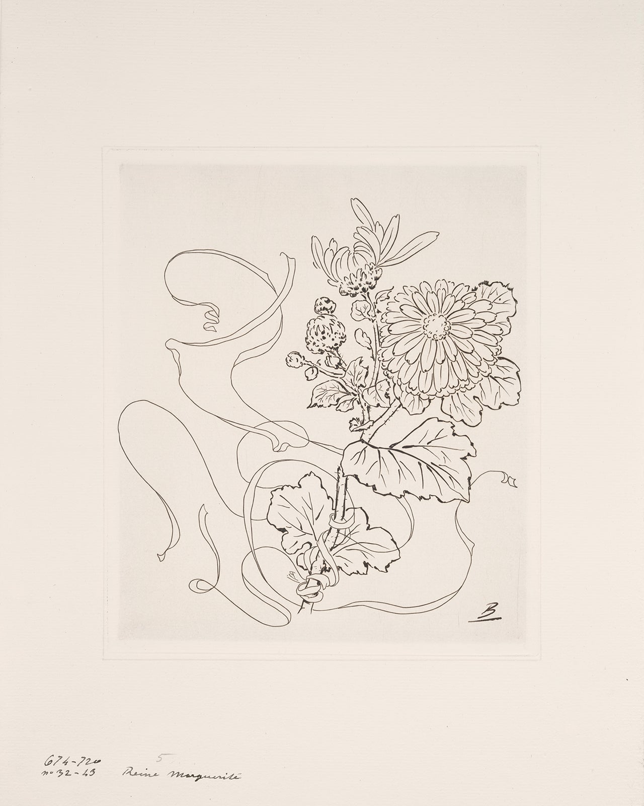 French Porcelain Flower Sketch Art Prints - Set of Nine