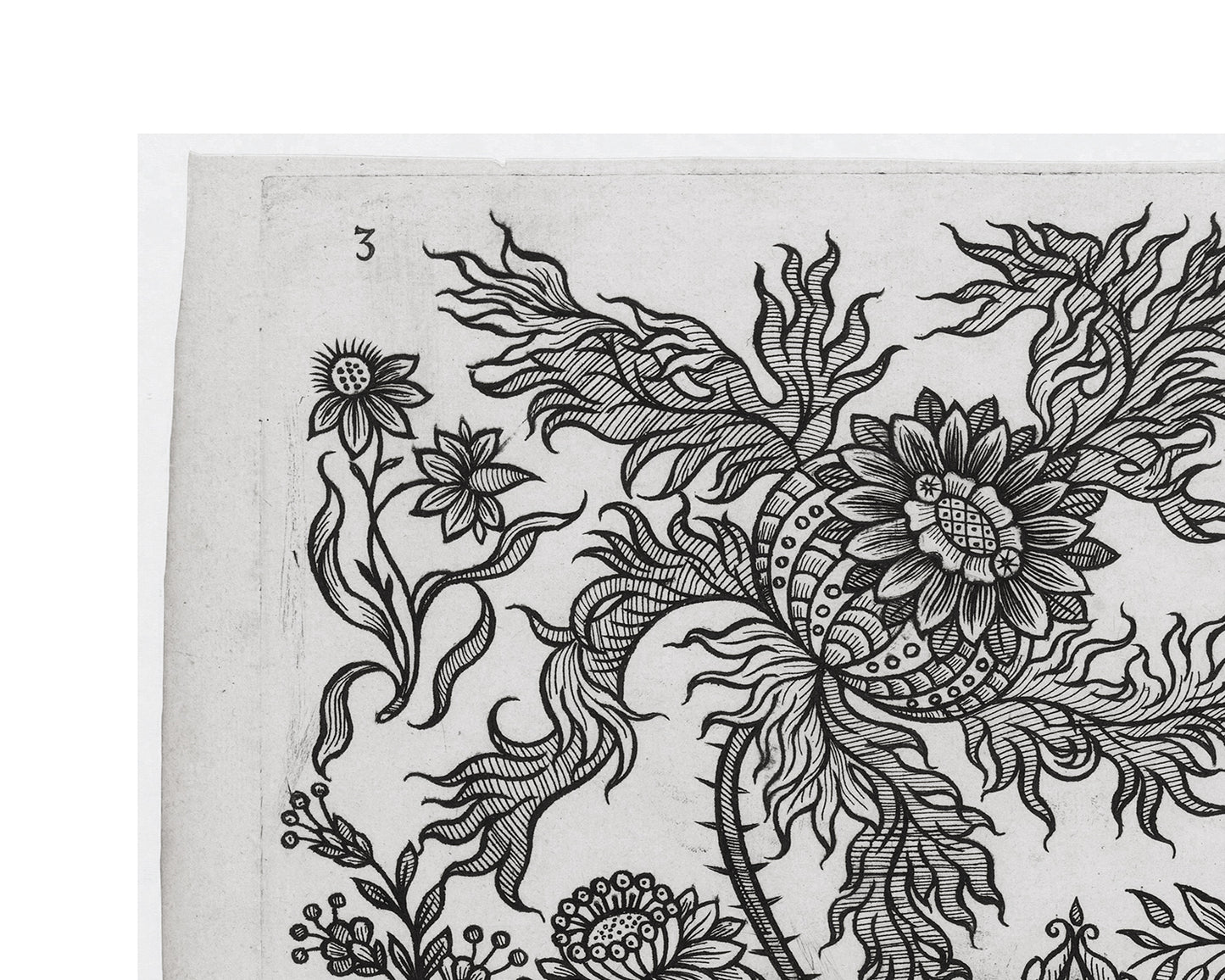 Dutch Flower Design Etching #72