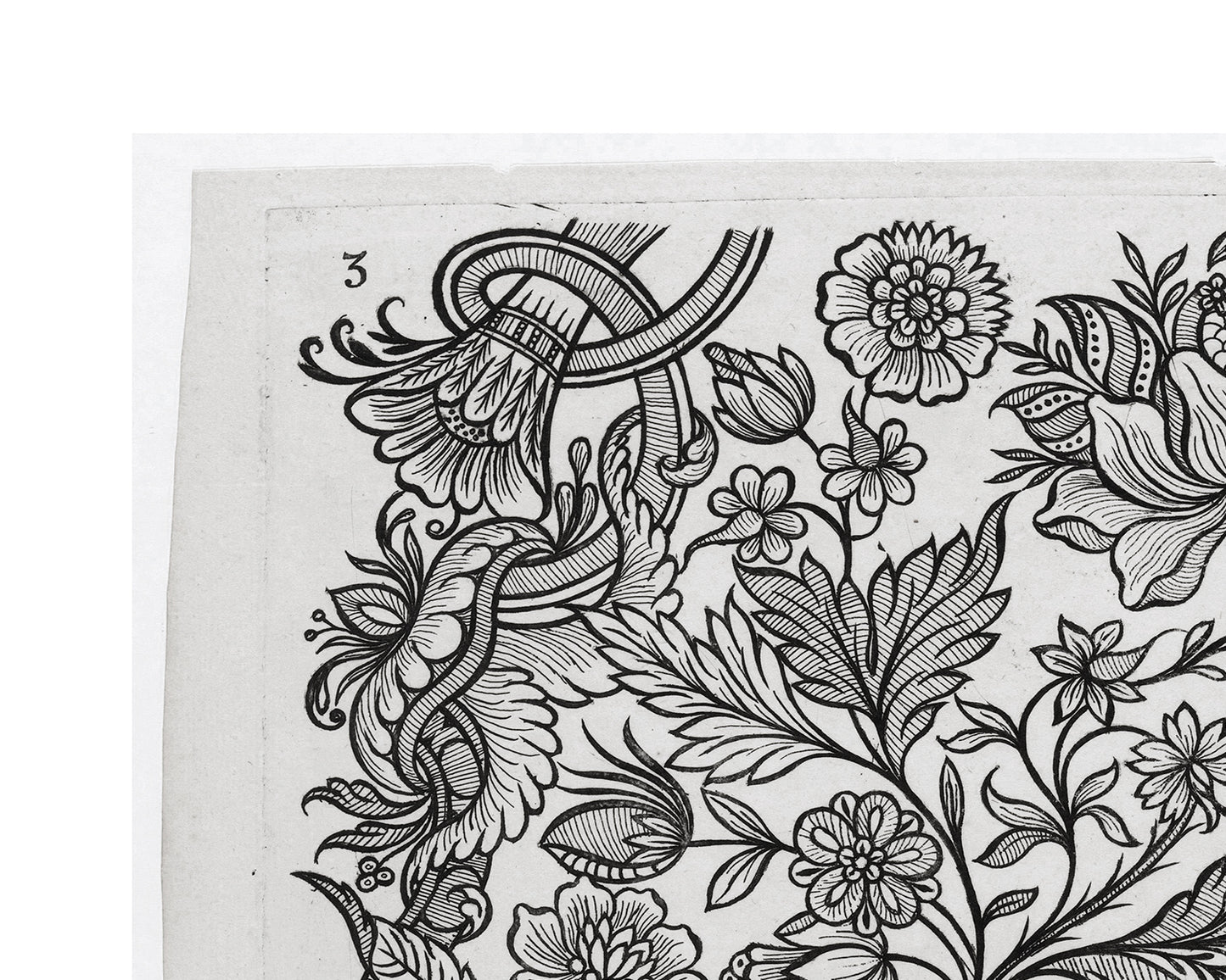 Dutch Flower Design Etching #76